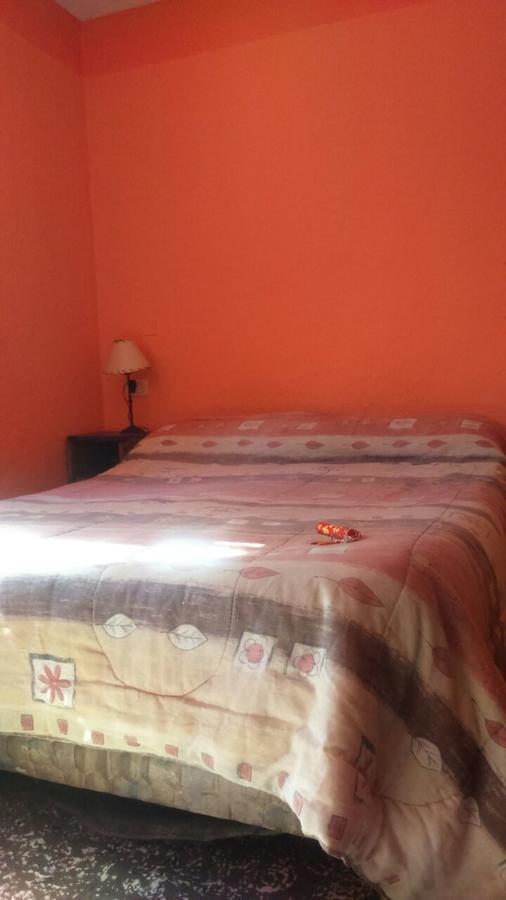 Hostel Internacional Mendoza Extérieur photo